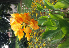 20160805_112448