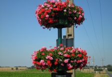 <SAMSUNG DIGITAL CAMERA>