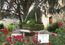 Fleurs du Village